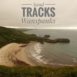 Wanspanks (feat. Robert James Hanrahan, Mauro Tiberi & Alex Barberis)