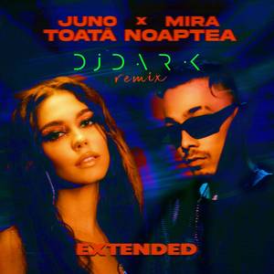 Toata Noaptea (DJ Dark Remix Extended)