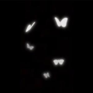 fck freestyle (Explicit)