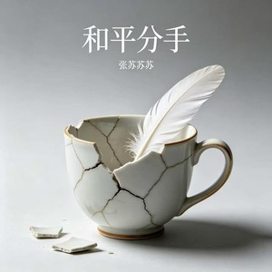 和平分手封面