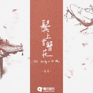 鬓上曾簪花 (DJ-lucky小阳版)封面