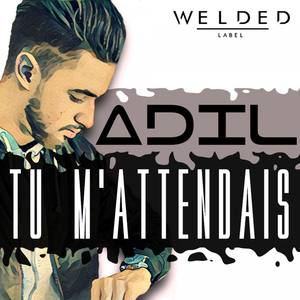 Tu m'attendais (2017)
