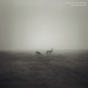 Baldwin - Unverzagt