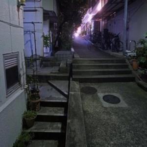 扉