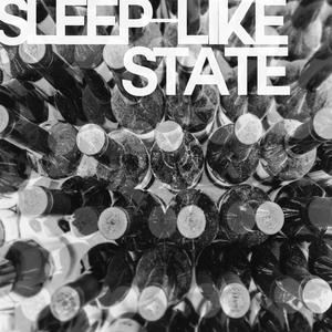 sleep-like state