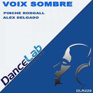 Voix Sombre (Original Mix)