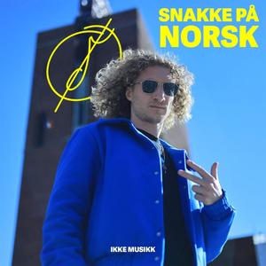 Snakke på Norsk