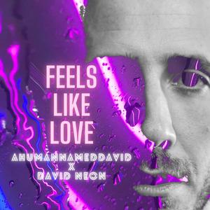 Feels Like Love(feat. David Neon)