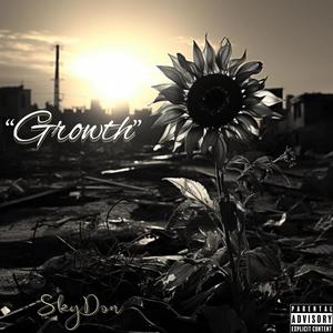 Growth (Explicit)