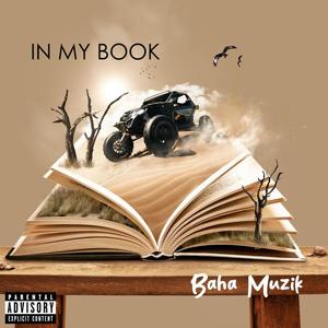 In My Book (Explicit)