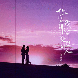 你是我拼了命爱过的人