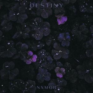 DESTINY (Explicit)