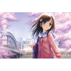 微风是我的告白