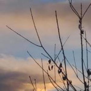 You'll Always Be Mine (feat. Tjiinae)