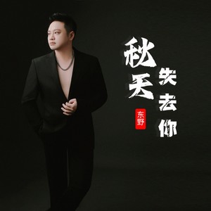 秋天失去你 (DJ二宝版伴奏)