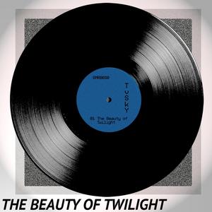 The Beauty Of Twilight (Original Mix)