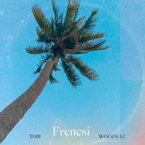 Frenesi (feat. Woods LC) (Explicit)