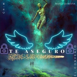 Te Aseguro