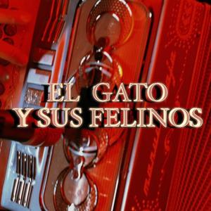 El Gato Y Sus Felinos