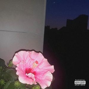 Run (feat. Diamond Frank) (Explicit)