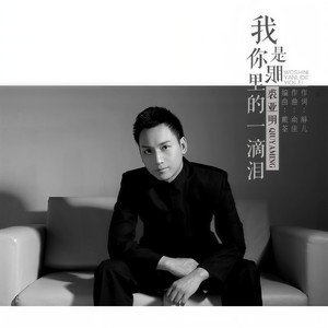 我是你眼里的一滴泪 (David Z Remix版)