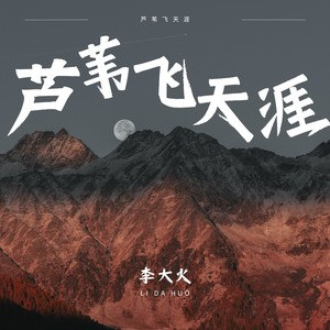 芦苇飞天涯 - 李大火封面