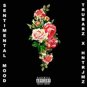 Sentimental Mood (feat. Hntr Jmz) [Explicit]