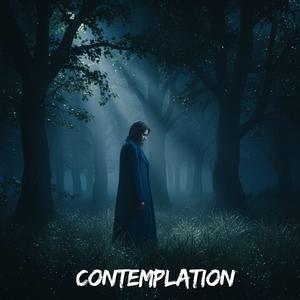 Contemplation