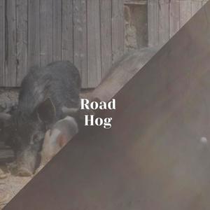 Road Hog