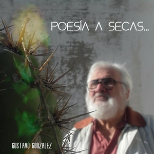 Poesía a Secas