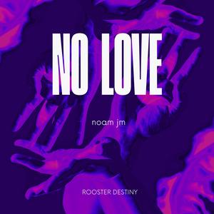 NO LOVE (Explicit)