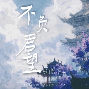 不负君望 (伴奏)