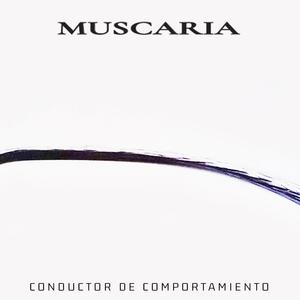 Activismo América (feat. TANQUE) (Versión TANQUE)