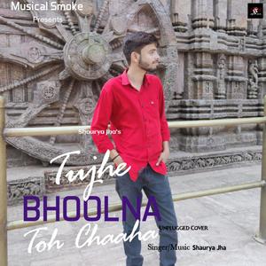 Tujhe Bhoolna Toh Chaaha(feat. Shaurya  Jha & Jubin Nautiyal) (Unplugged Cover)