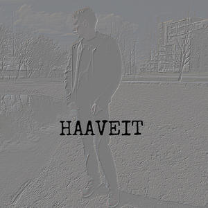 Haaveit