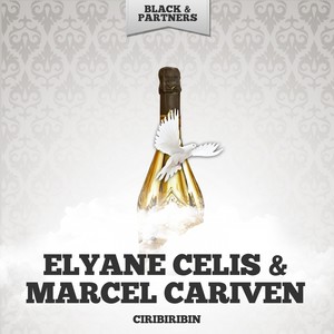 Miroir Aux Alouettes