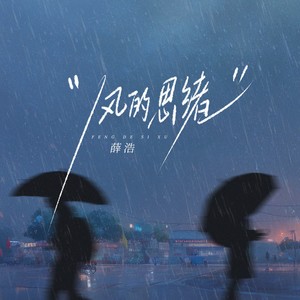 风的思绪 (伴奏)