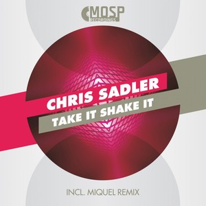 Take It Shake It (Original Mix)