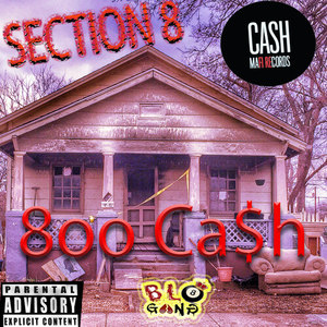 Section 8 (Explicit)