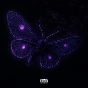 MOTH (Explicit)