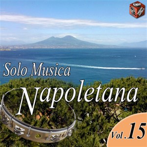 Solo musica napoletana, Vol. 15