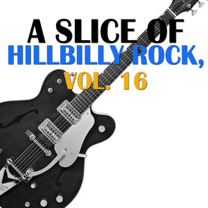 A Slice of Hillbilly Rock, Vol. 16