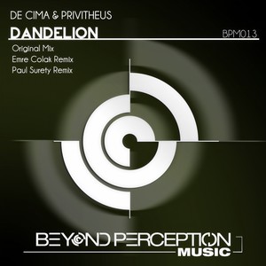 Dandelion (Paul Surety Remix)