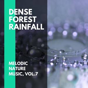 Dense Forest Rainfall - Melodic Nature Music, Vol.7