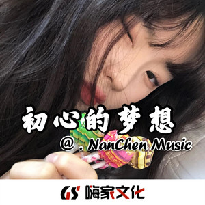 南辰 - 我好想你 (温柔女声版)