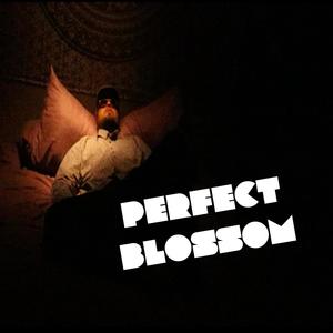 Perfect Blossom(feat. Vgbases) (Explicit)