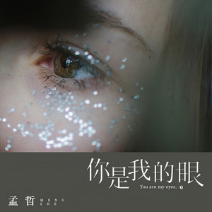 你是我的眼