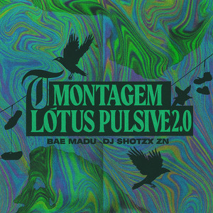 Montagem Lótus Pulsive 2.0 (Explicit)