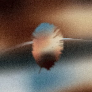 I Know Why But I Don’t Mind