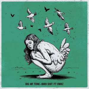 Bird **** (feat. Owkz) (Explicit)